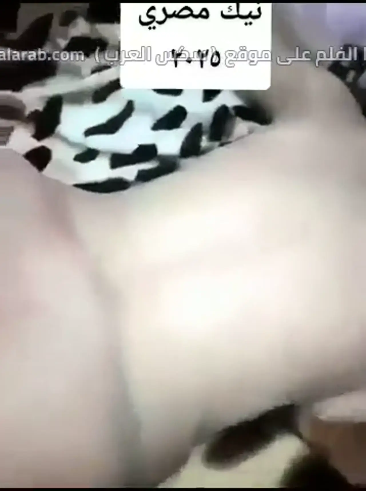 حموت و هايجة - مراهقة مصرية شرموطة هايجة تتناك بكلام ساخن وتطلب زبه في كسها زوم قريب نادر إباحي 7