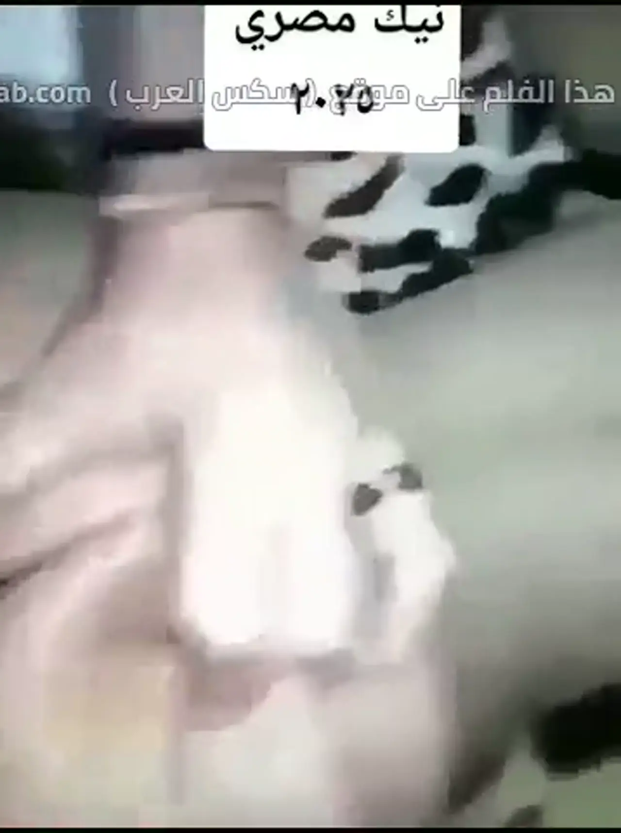 حموت و هايجة - مراهقة مصرية شرموطة هايجة تتناك بكلام ساخن وتطلب زبه في كسها قرب يوقظ إحساسك 9