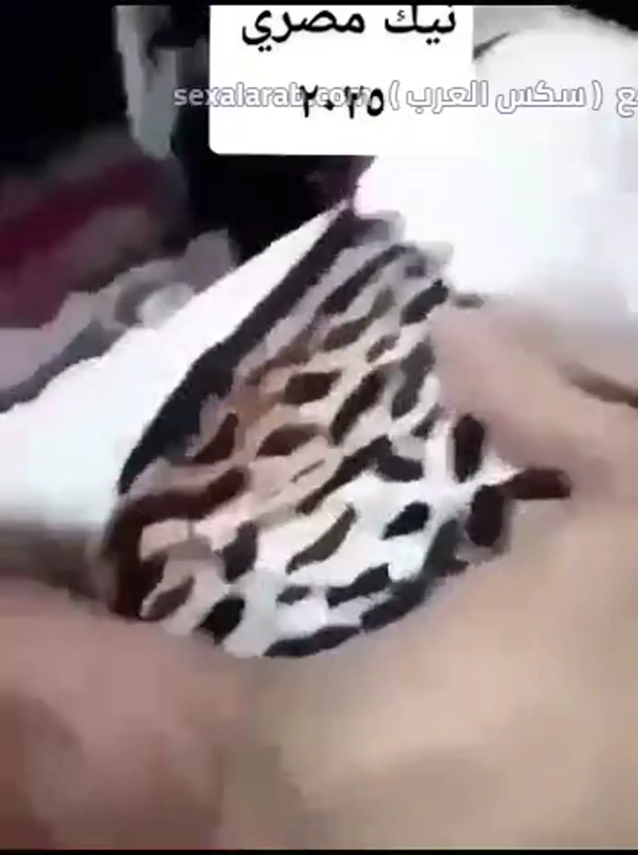 حموت و هايجة - مراهقة مصرية شرموطة هايجة تتناك بكلام ساخن وتطلب زبه في كسها معاينة فائقة الوضوح 3