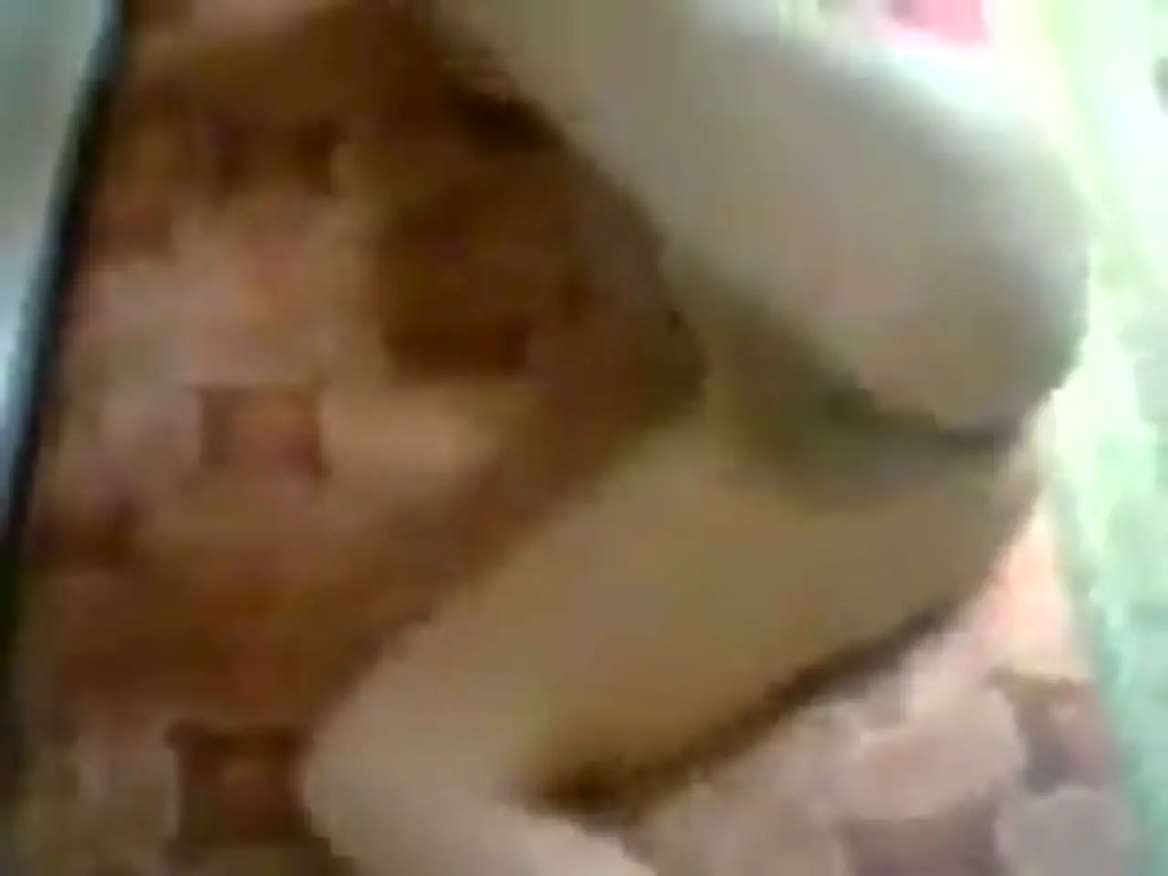 استعراض حسب الطلب | مراهقة شرموطة نايمة على الأرض تفتح كسها وتلعب في طيزها بطلب عشيقها جاذبية طبيعية آسرة 1