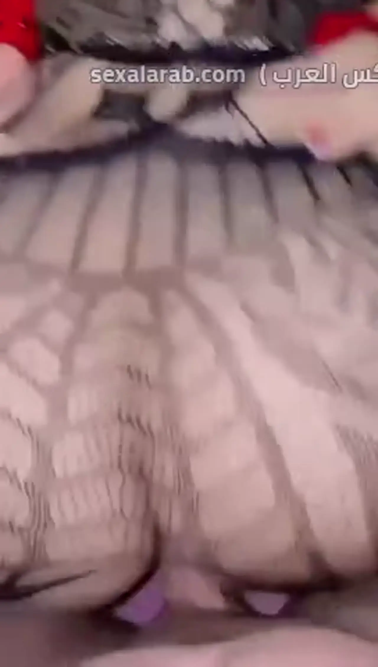 نيك وكتل قوي.. شرموطة في شبكة سوداء وكعب أحمر بتتفشخ وتترعش تحت الضرب - سكس عرب مترجم زوم نادر على المشهد 4