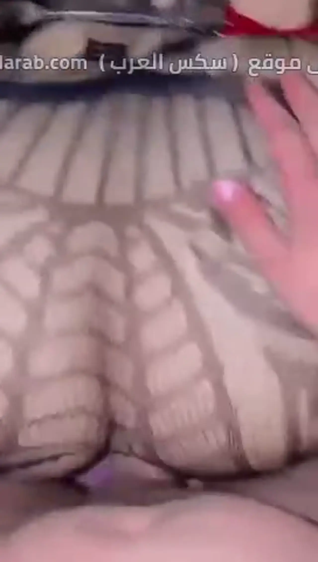 نيك وكتل قوي.. شرموطة في شبكة سوداء وكعب أحمر بتتفشخ وتترعش تحت الضرب - سكس عرب مترجم صورة عالية الجودة بدون تعديل 6