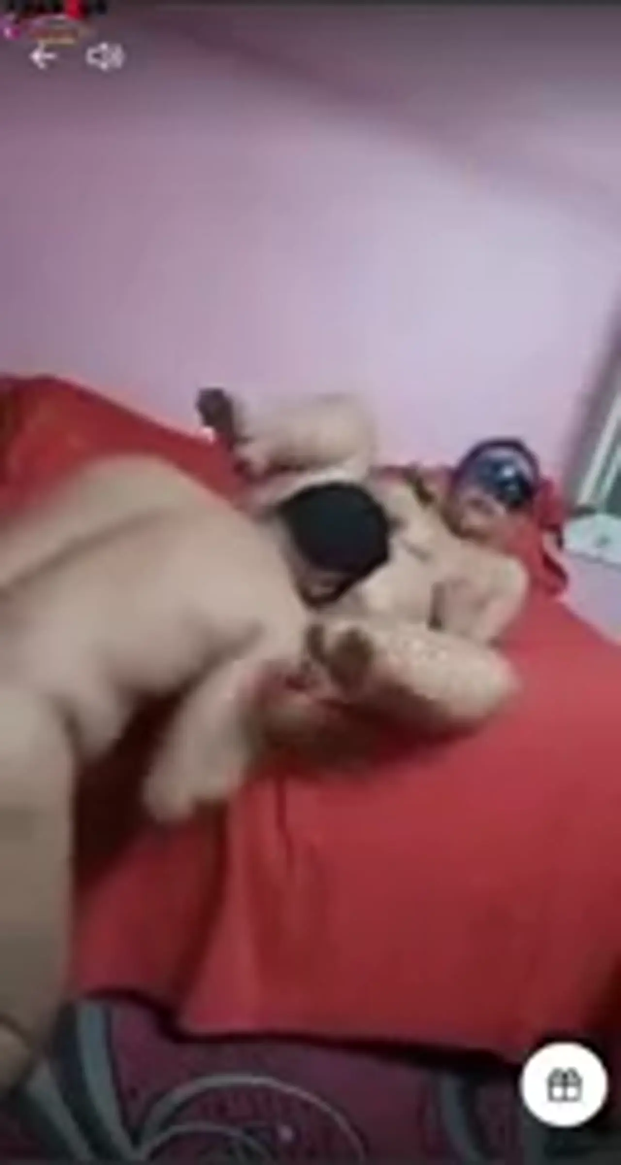 سهرة نيك مصرية ساخنة.. يدور دعم وهي بتمص زبه وتلحسه بشهوة مجنونة - سكس عرب مترجم إطارات معاينة ساخنة 4