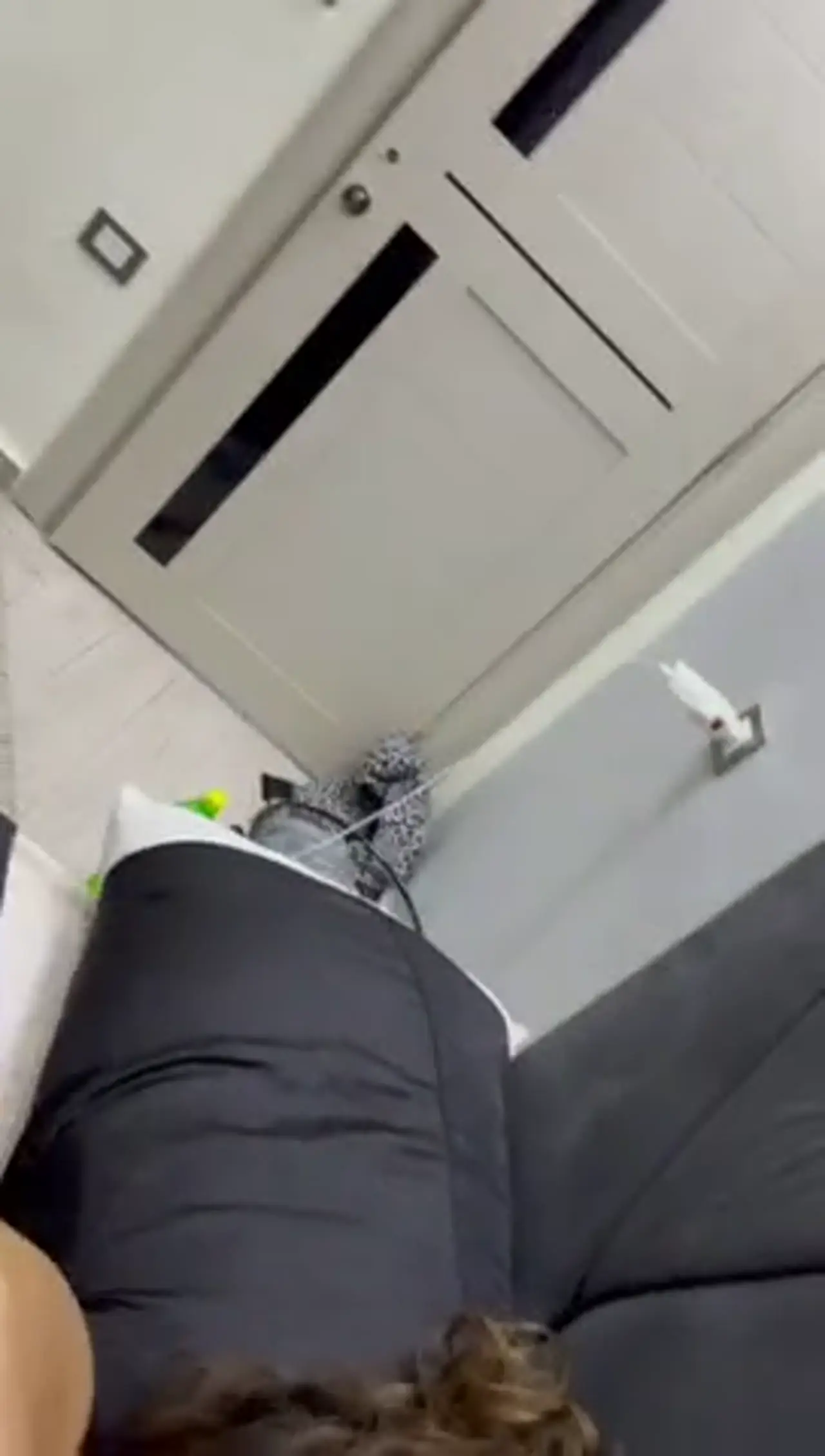 سكس مصري هدير عبد الرازق تتألم من زب كبير جاف وتئن بقوة صورة فيديو حار 7