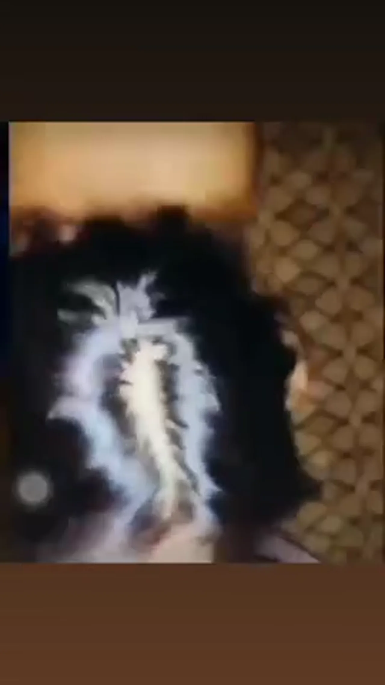 ألچلبة مال منو يالله لج ارضعي زبي - سكس هيمنة عراقي ابتسامة خجولة لكنها مثيرة 3